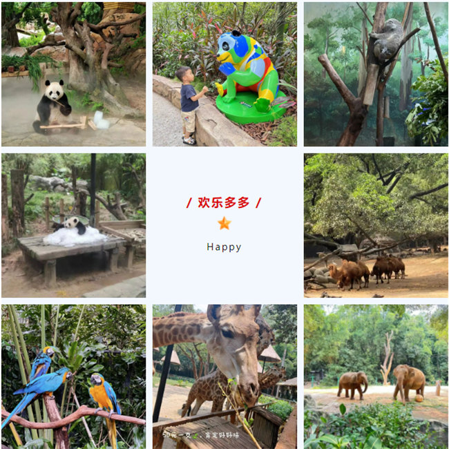 大手牽小手，快樂親子游！廣東博皓2023年親子游活動(dòng)        -8