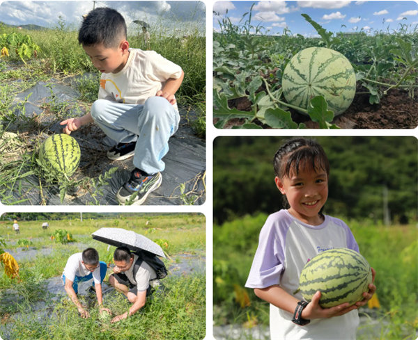 趣游盛夏，一路童行—2024年廣東博皓親子游   -12